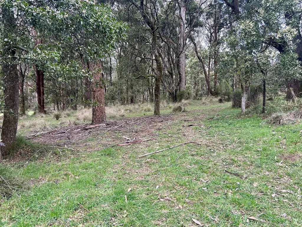 Bullarto  Peaceful Township Block on 2000sqm Price reduction.  Fabulous Block.