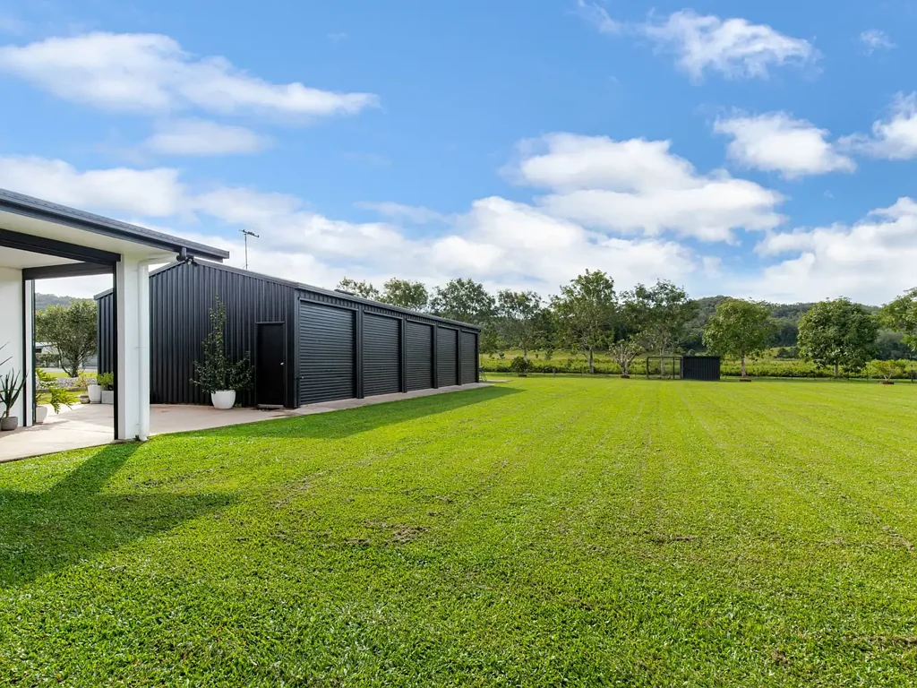 Bamboo 4Habitaciones NEW PRICE - BIG BOLD AND BURSTING WITH POTENTIAL