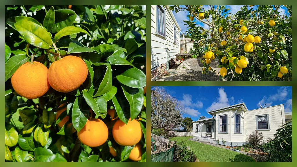 Paparoa 5房  Quality Kauri Villa Lifestyle