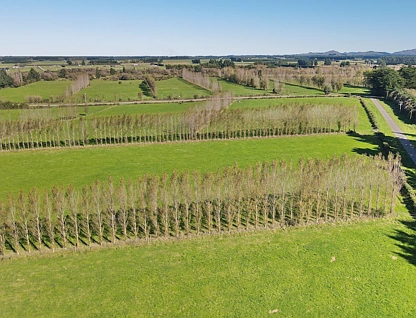 117 Sladdens Farm Road, Oxford, Waimakariri, Canterbury, 0房, 0浴, Unspecified