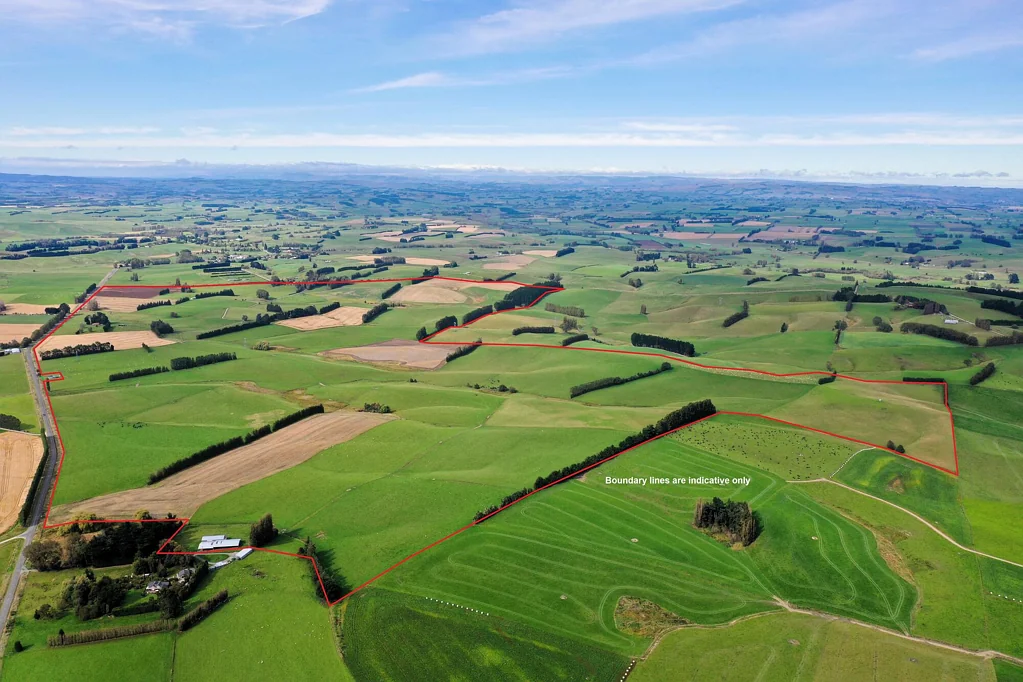 Waikaka Multiple Farming Options in a Great Location