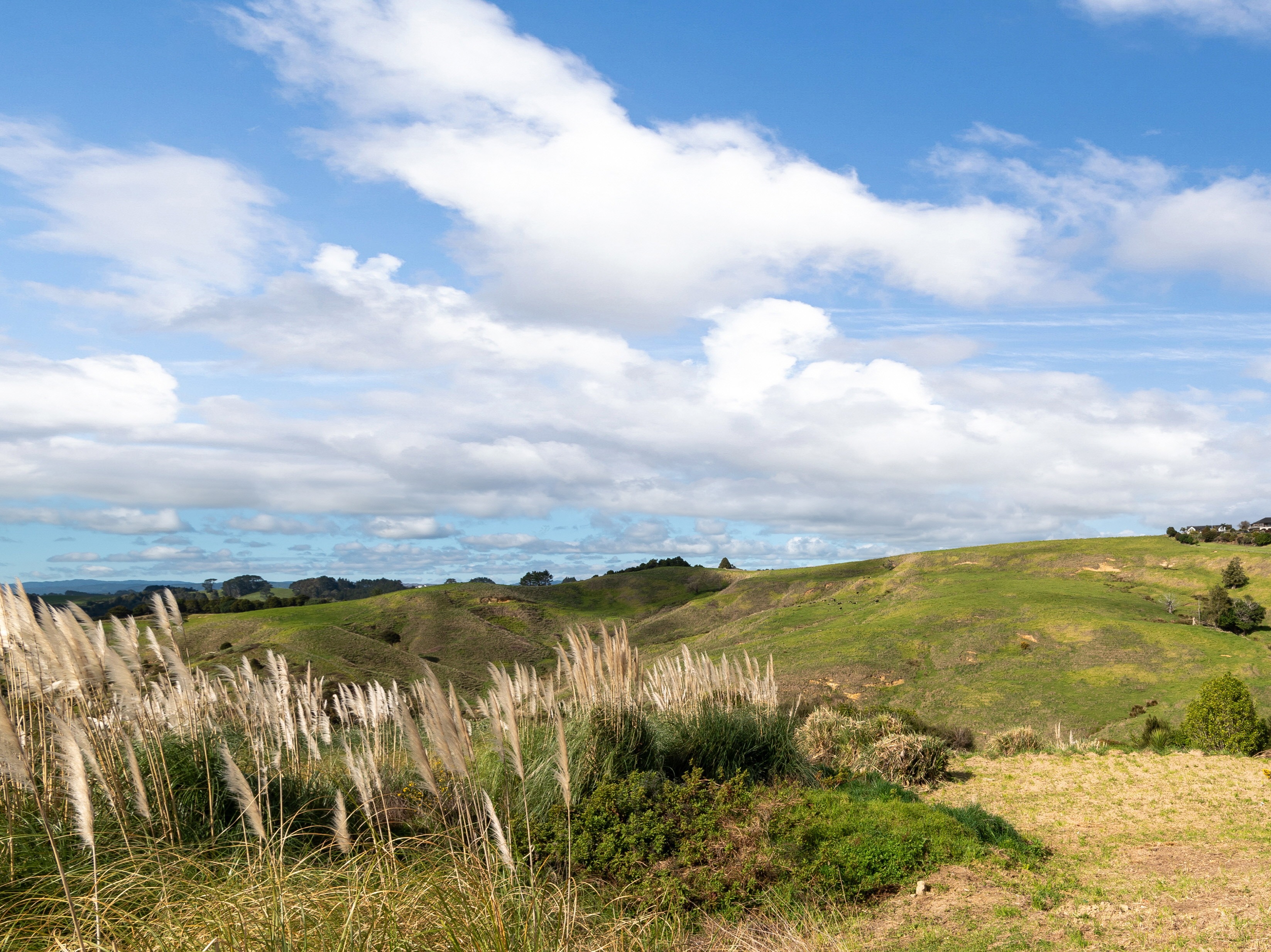 10 Harakeke Terrace, Whitford, Auckland - Manukau, 0房, 0浴, Section