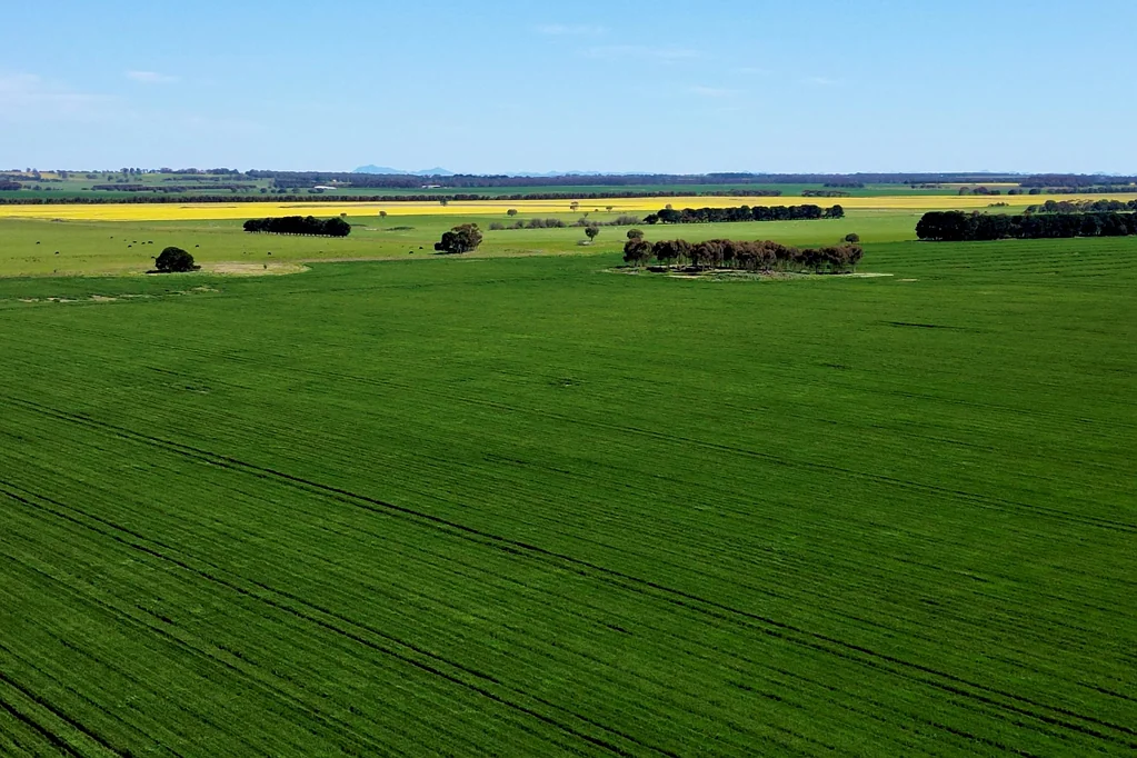 Woorndoo High Rainfall Cropping Property