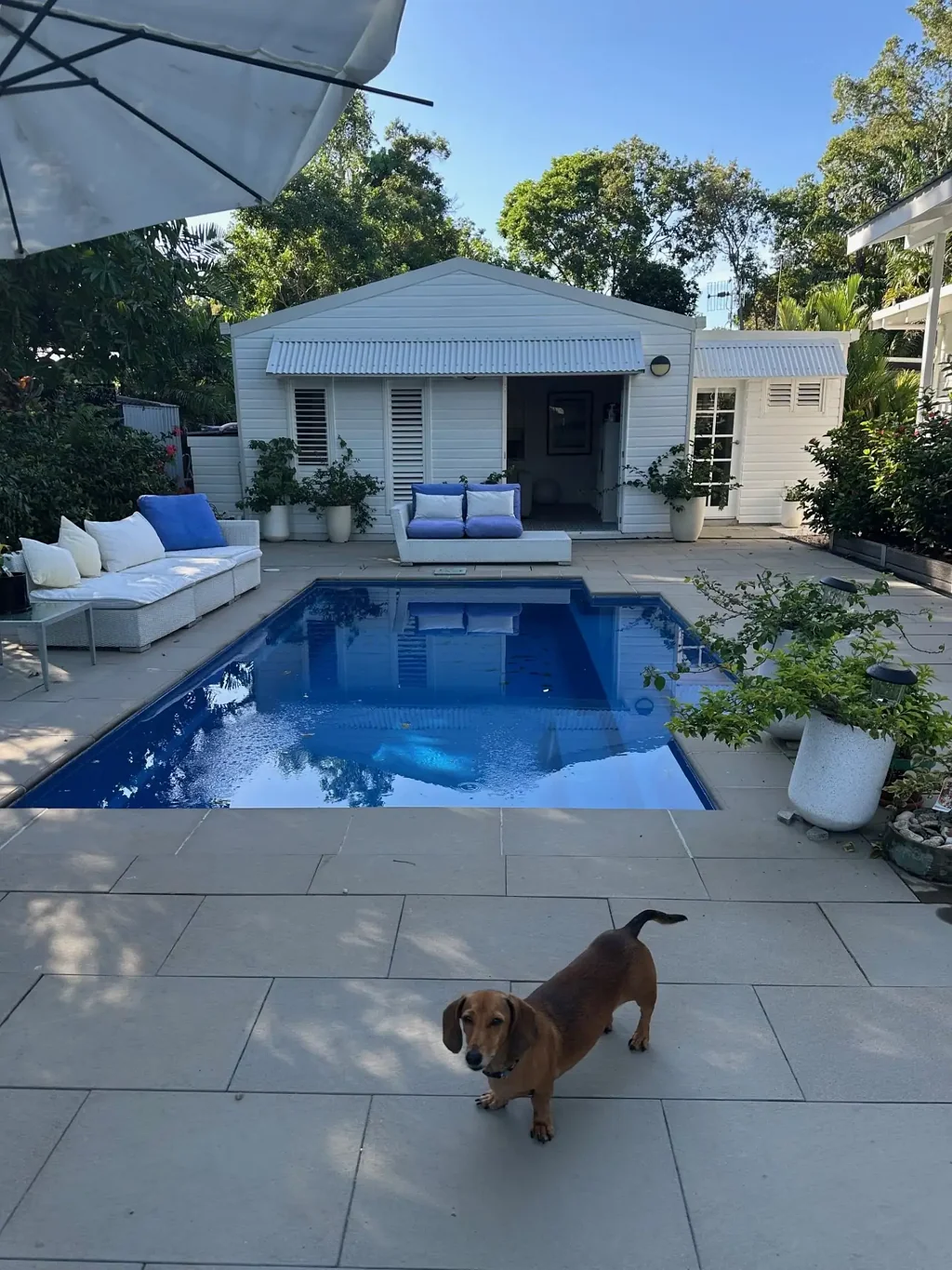 Port Douglas 3 Slaapkamer Timeless Queenslander Charm Meets Modern Coastal Living