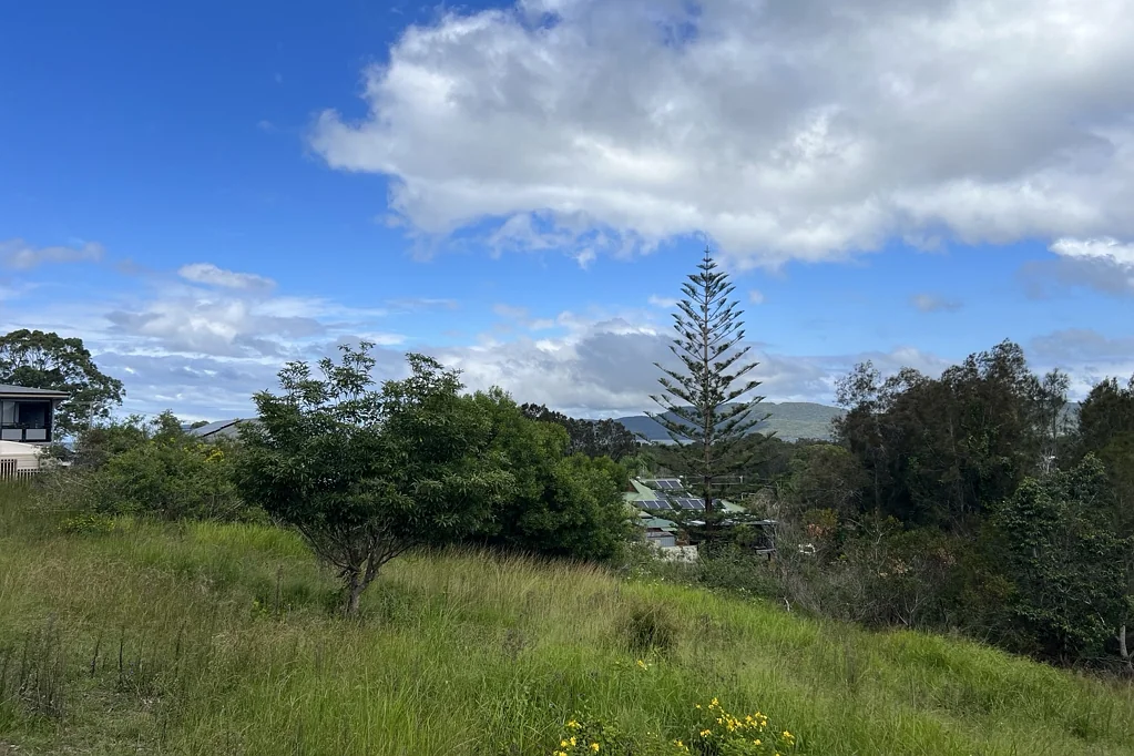 Coomba Park Boundless Opportunity