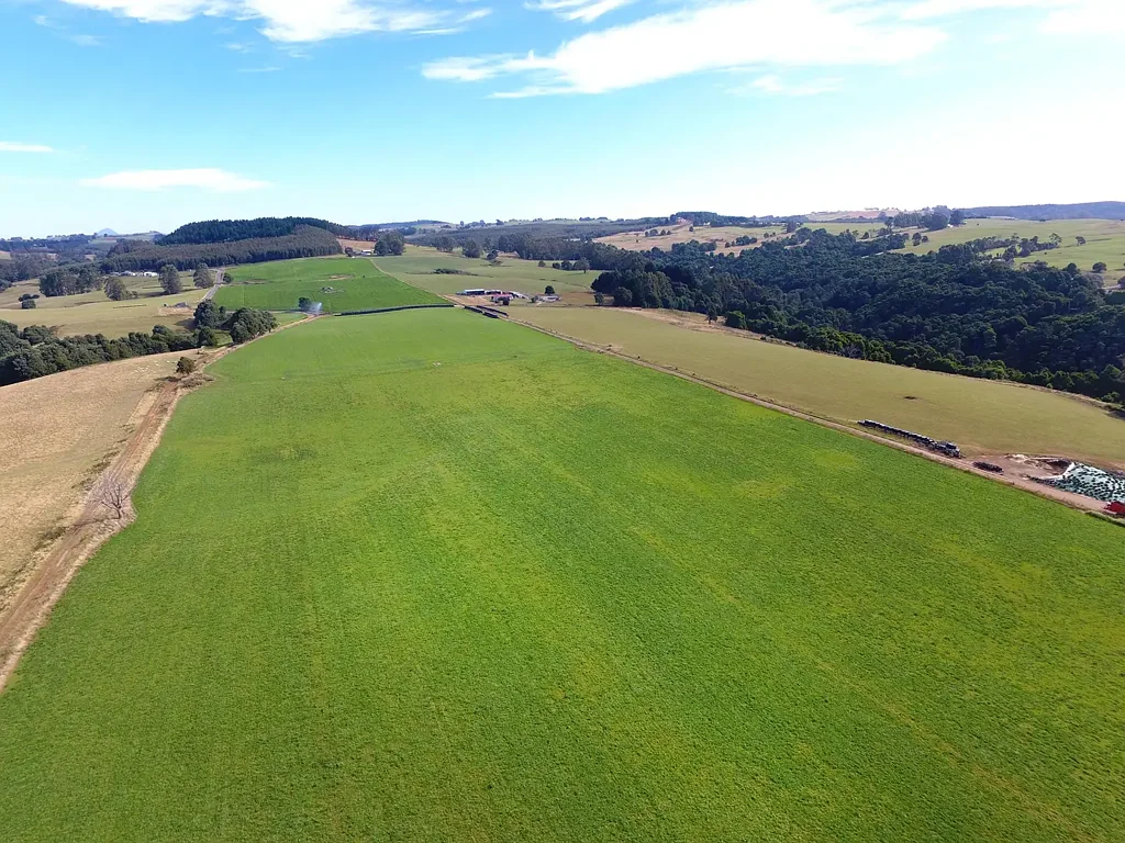 Mount Hicks  ‘Clover Downs’ - 425ac on 2 titles. Irrigation.