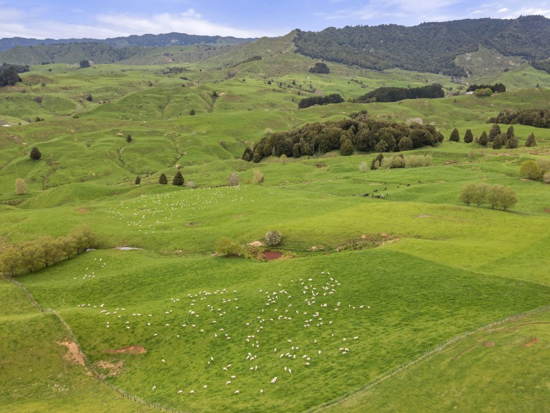 80 Parakoko Road, Aria, Waitomo, 3 침실, 0 욕실