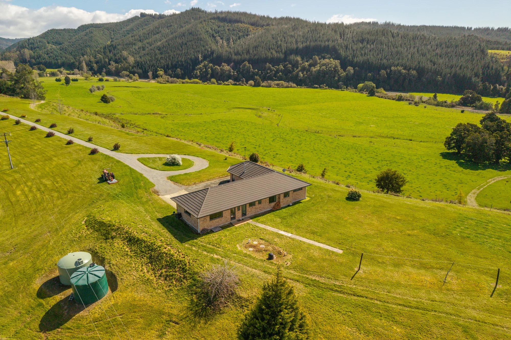 Wakefield Pasture, Pines and Resource Consent to subdivide