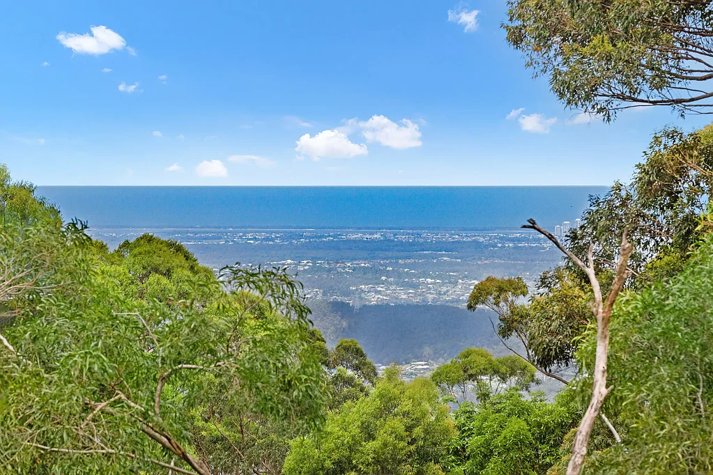 123 Guanaba Road, Tamborine Mountain, QLD 4272