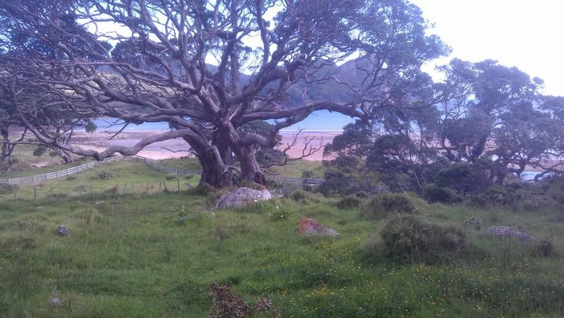 Hauraki Gulf Islands