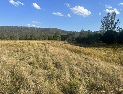 2374 Upper Mongogarie Road, Upper Mongogarie, North Coast, 0 rūma, 0 rūma horoi, Lifestyle Property