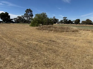 其他 - 10 MAIN STREET, MINYIP