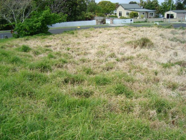 95 Koutunui Road, Athenree, Bay Of Plenty, 3 habitaciones, 0 baños