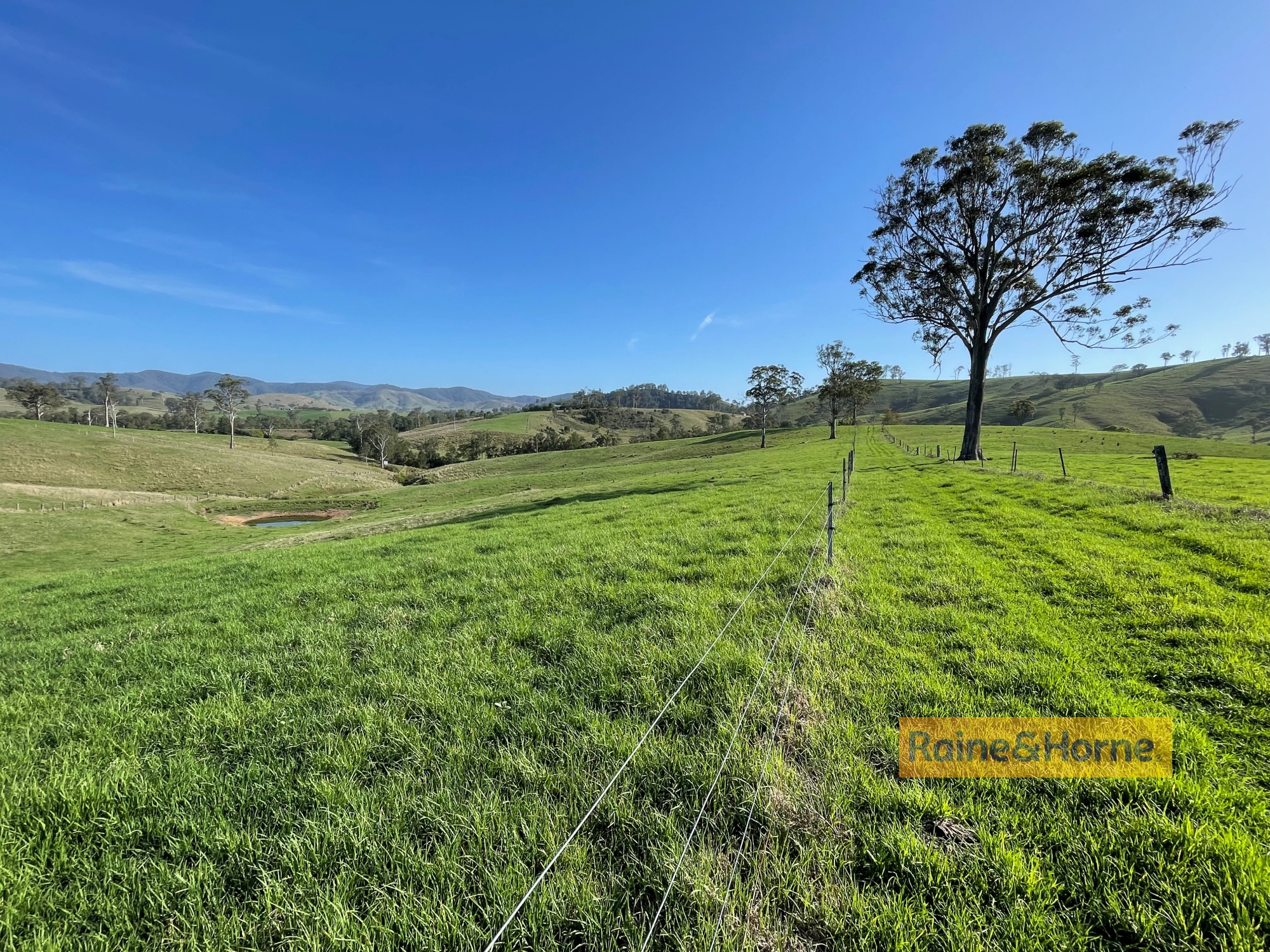 319 BUNDOOK RD, TUGRABAKH NSW 2422, 0 rūma, 0 rūma horoi, Lifestyle Property