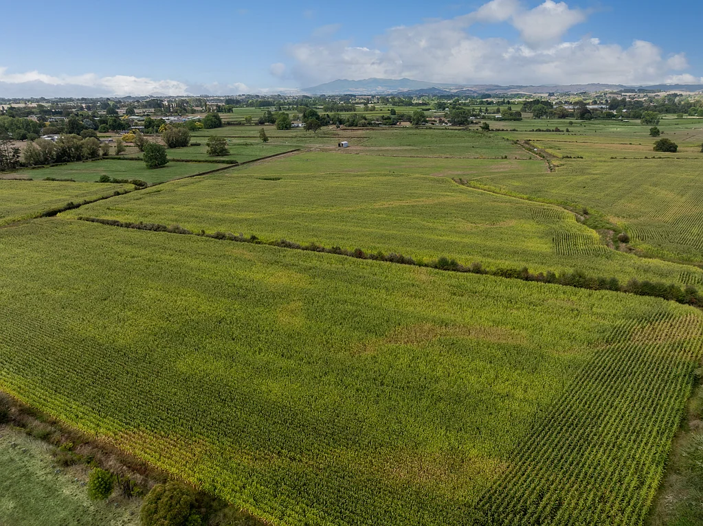 Te Kowhai Superior Block Excellent Investment