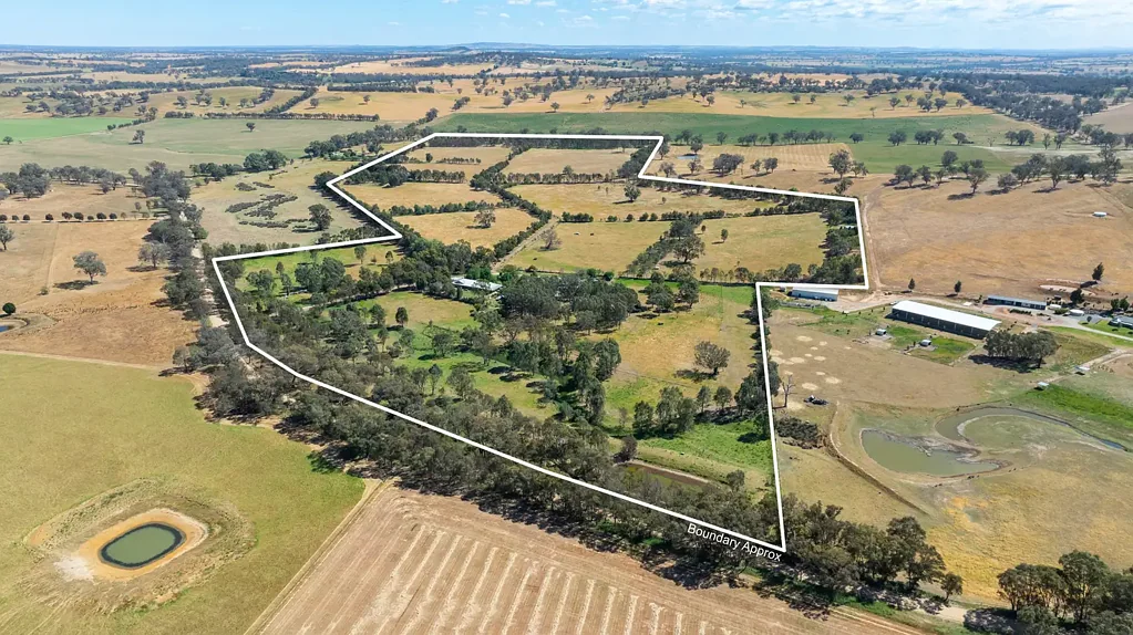 566 Stoney Park Road, Burrumbuttock, NSW 2642