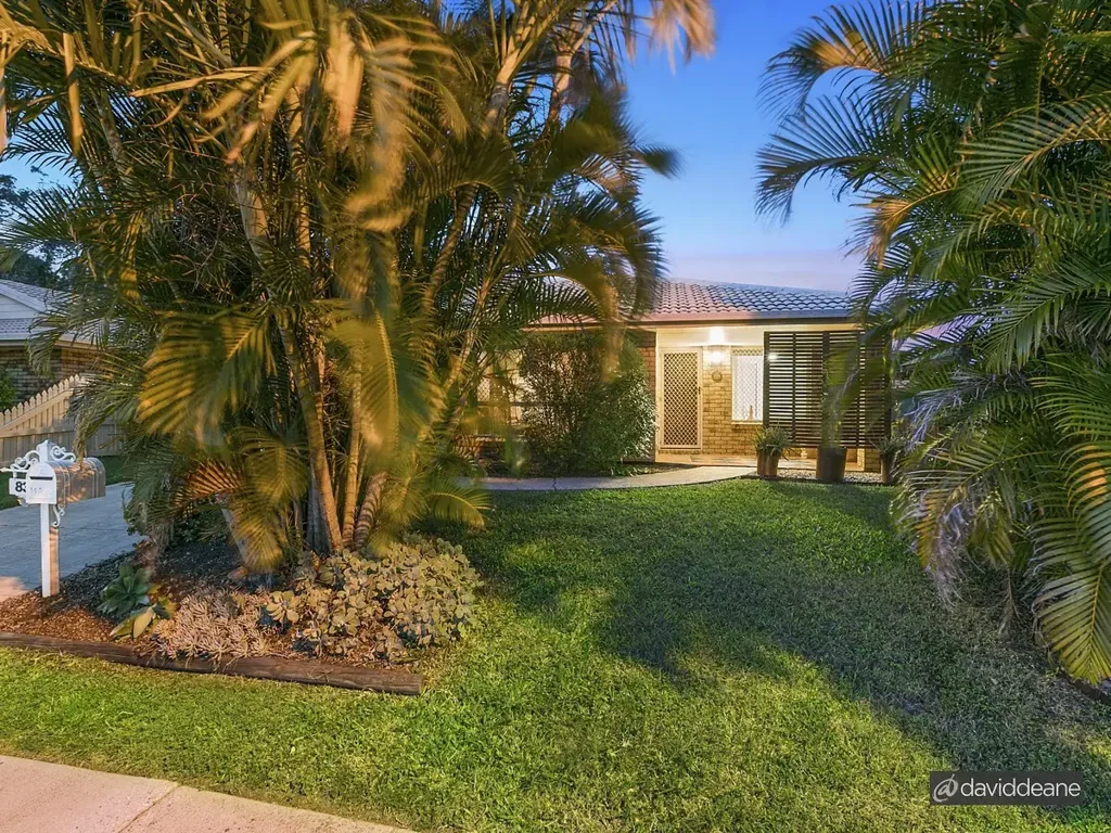A Tropical, Tucked Away Oasis