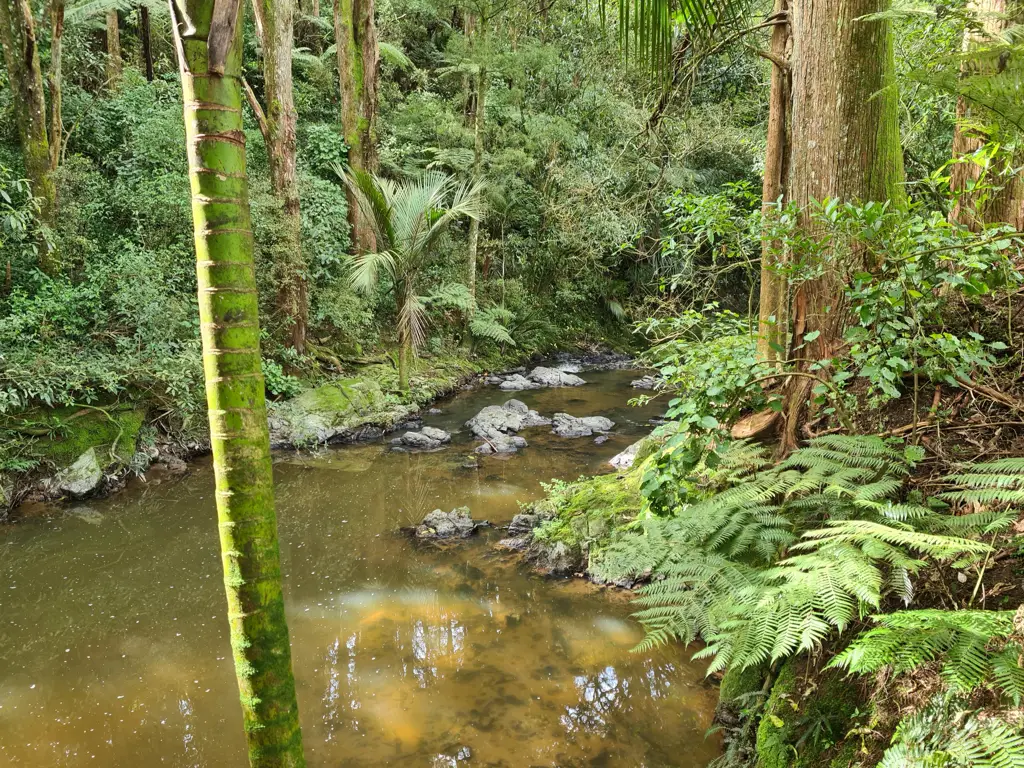 Maungaturoto Bush, Water, Peace and Private