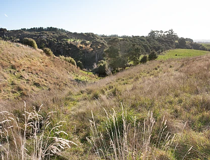 84B View Road, Halcombe, Manawatu, Manawatu-Wanganui, 0 कमरे, 0 बाथरूम, Lifestyle Section