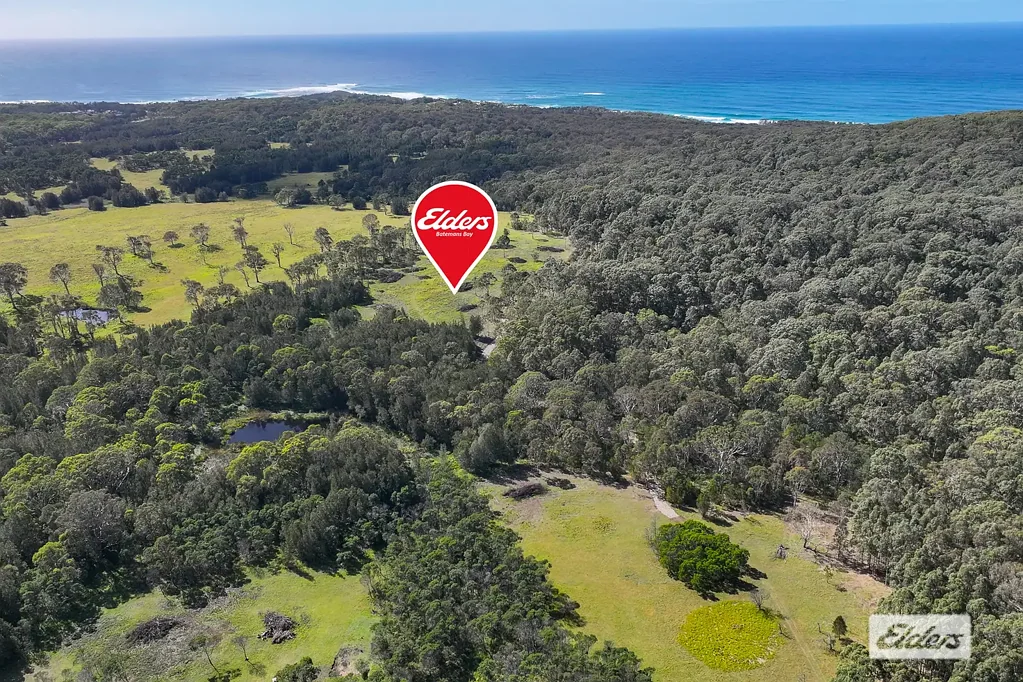 Congo Expansive Acreage with Dual Dwelling Potential & Natural Beauty