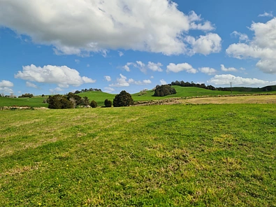 Dodd Road, Maungaturoto, Kaipara, 0 Bedrooms, 0 Bathrooms, Lifestyle Section