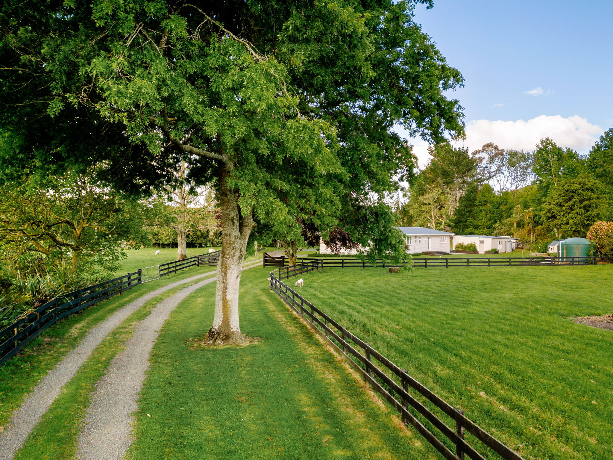 5 Scotsman Valley Road, Tauwhare, Waikato, 4 rūma, 0 rūma horoi, House