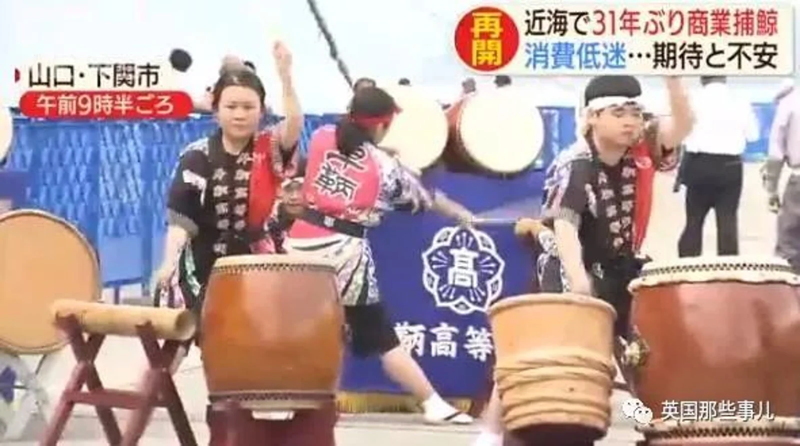从假装科研转为光明正大，日本时隔31年重启商业捕鲸，头天2只小须鲸就遭殃了...