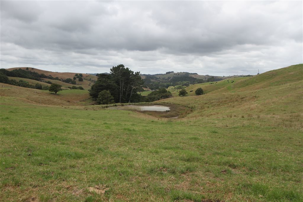 2180 Sh12 Maungaturoto - Pa, Paparoa, Kaipara, 0 રૂમ, 1 બાથરૂમ