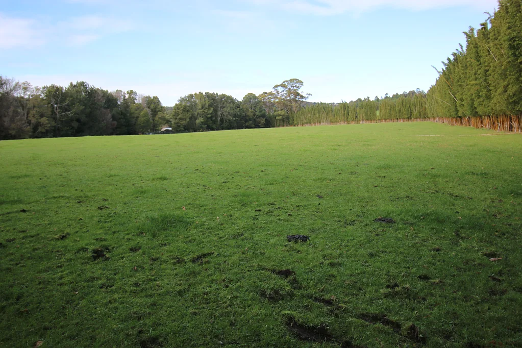 Kerikeri  Potential Trophy Farm