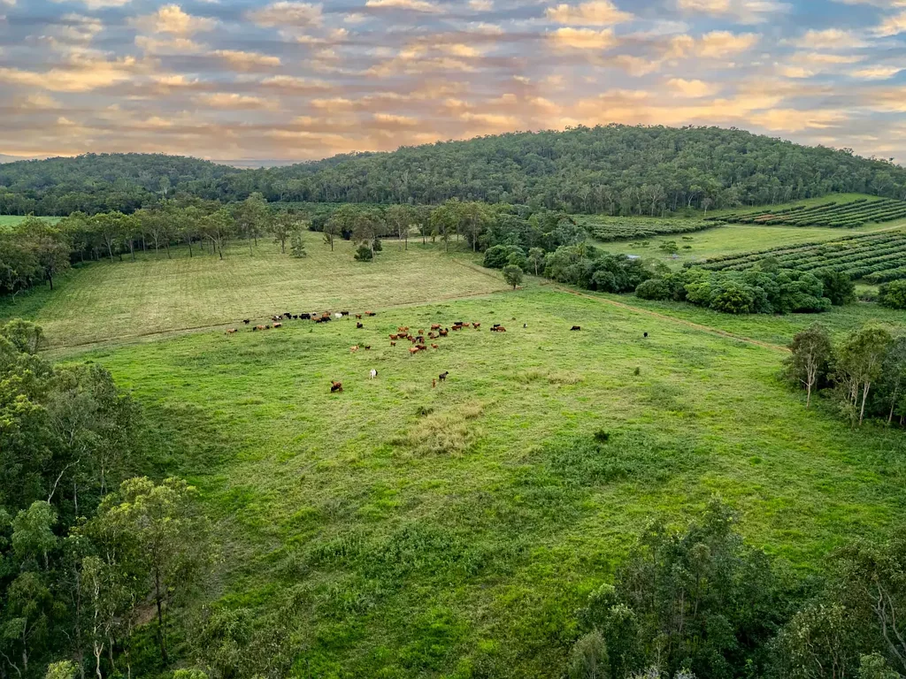 Koumala Discover "Hidden Valley" a Rural Gem  on 3 Titles