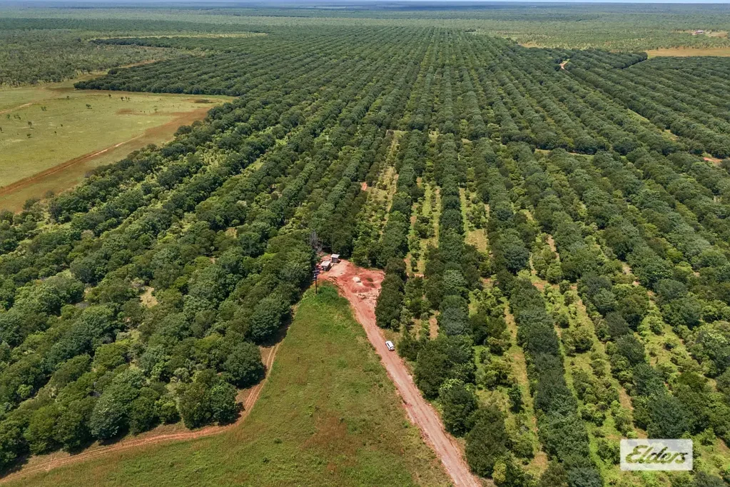 Katherine Taylors Park Aggregation – Premier Irrigated Landholding, NT