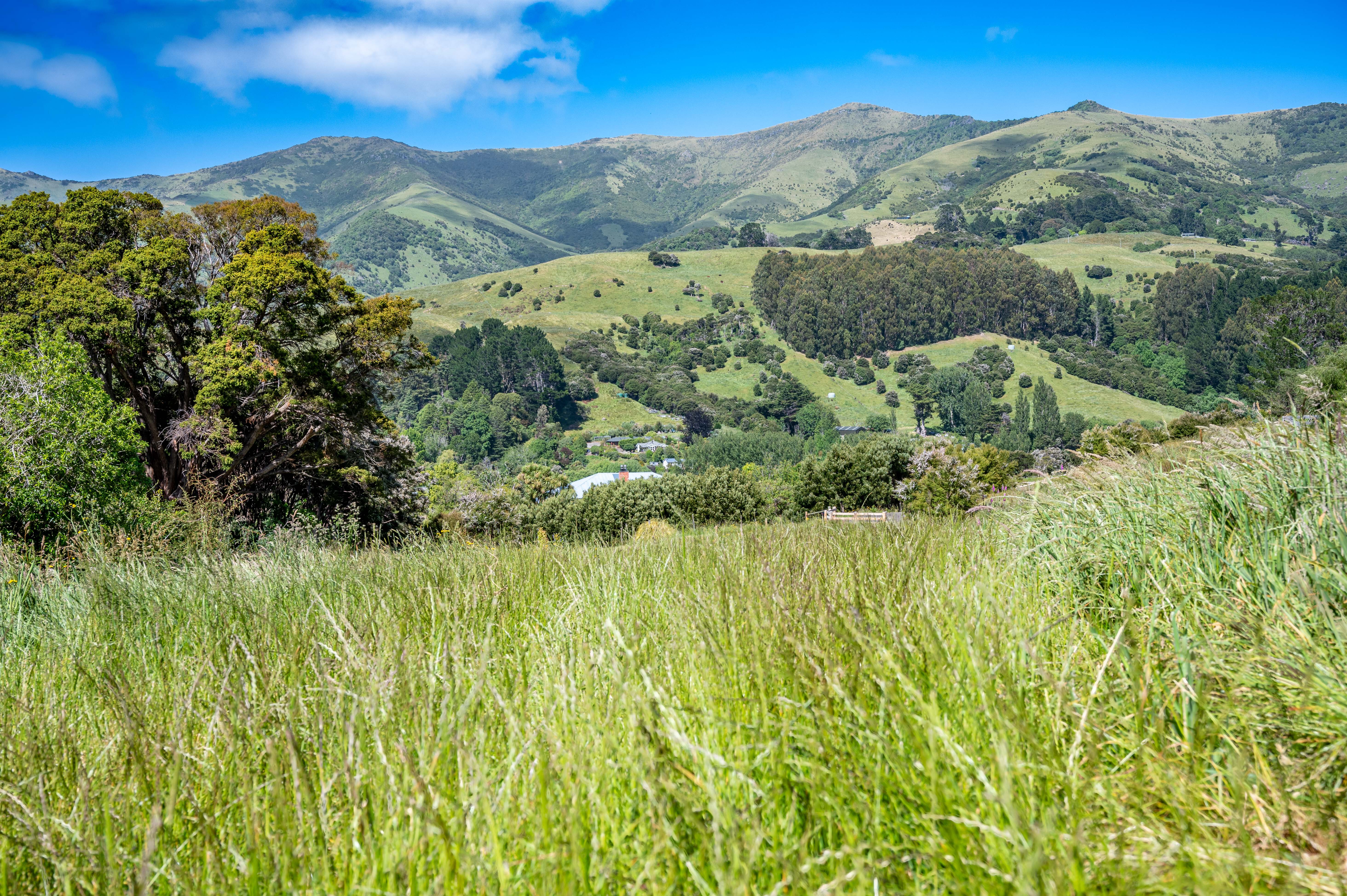 36 Cemetery Road, Wainui, Christchurch, 0 Schlafzimmer, 0 Badezimmer, Section