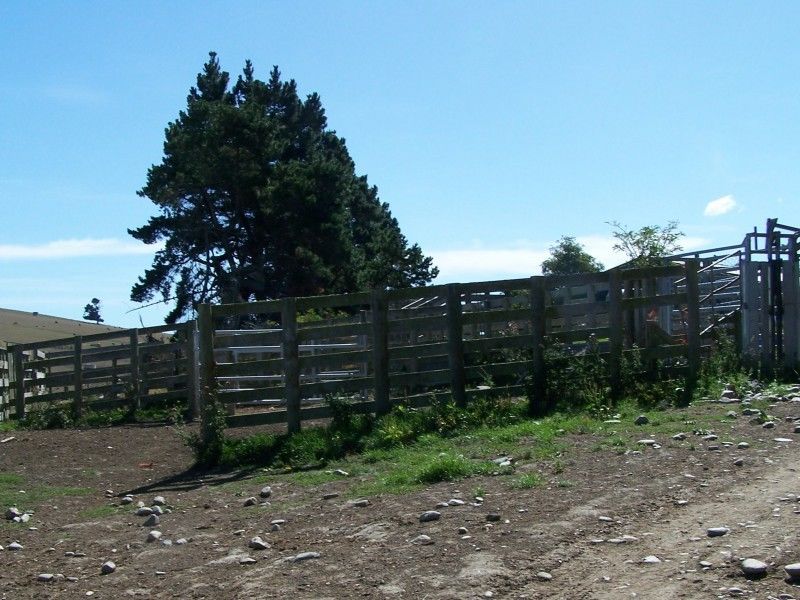 1101 Kakanui Valley Road, Five Forks and Surrounds, Waitaki, 0 habitaciones, 0 baños