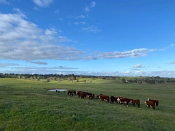 102 Matthews Road, Eden Valley