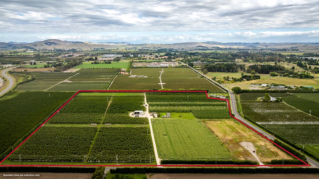 Bridge Pa Orchard income and opportunity