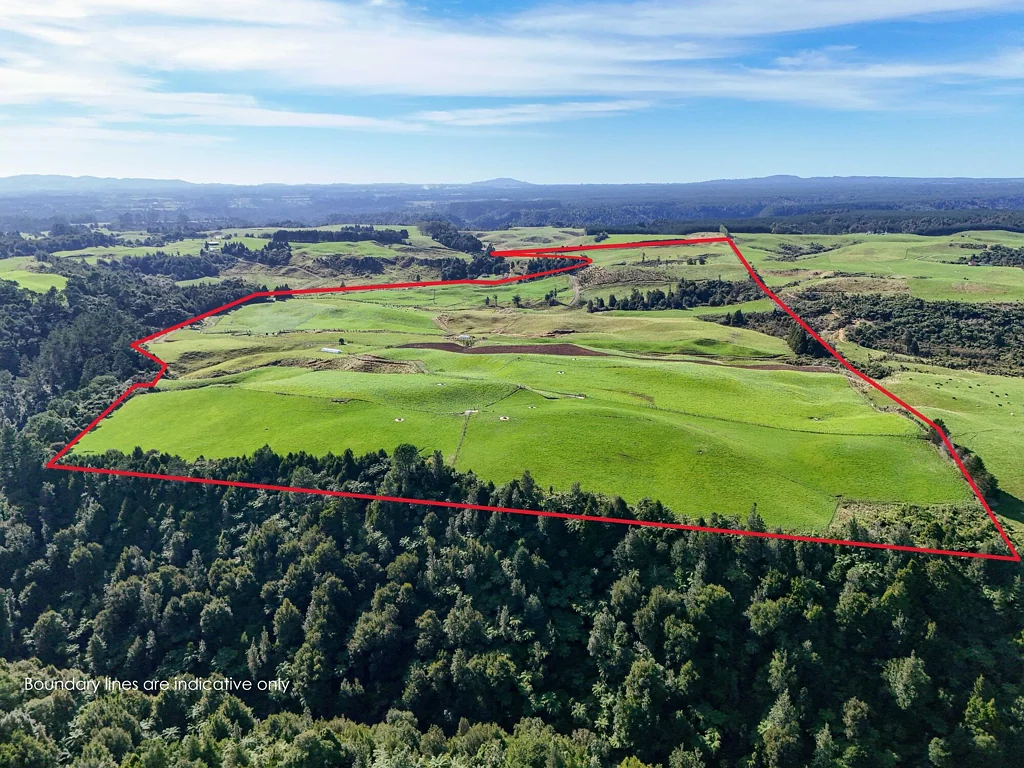 Kaimai Productive land with a panoramic outlook