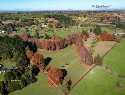 64 Peacockes Lane, Peacocke, Hamilton City, 0房, 0浴, House