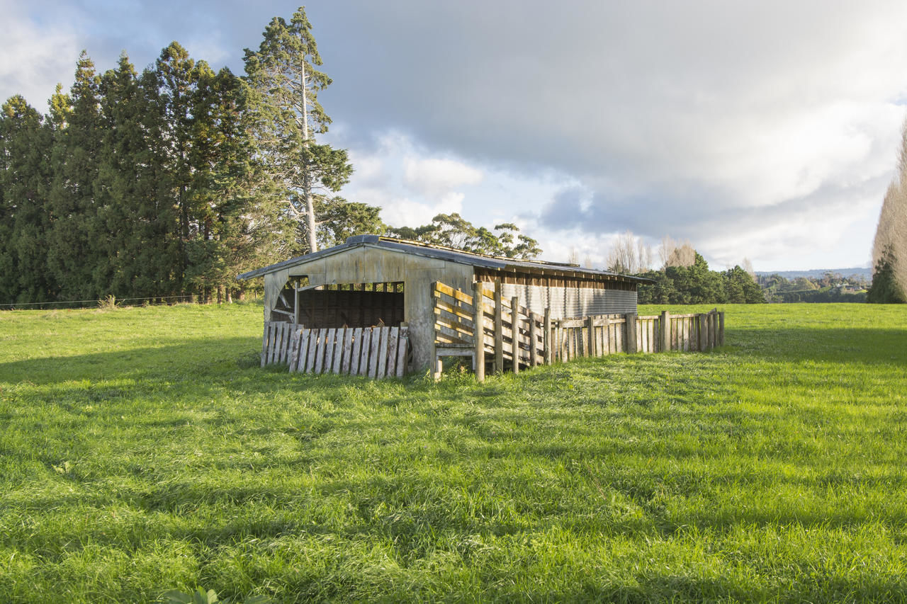 329 Snodgrass Road, Te Puna, Bay Of Plenty, 0 ห้องนอน, 0 ห้องน้ำ