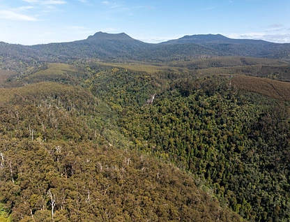 . St Columba Falls Road, Pyengana, Launceston and North East, 0房, 0浴, Lifestyle Property