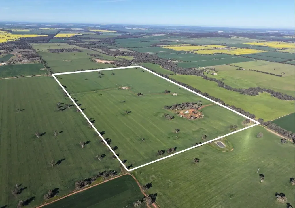 'Glencoe' 1700 Morangarell Road, Temora, NSW 2666