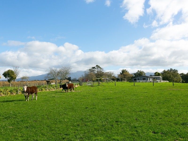 1946 Mountain Road, Norfolk, New Plymouth, 3 ਕਮਰੇ, 0 ਬਾਥਰੂਮ