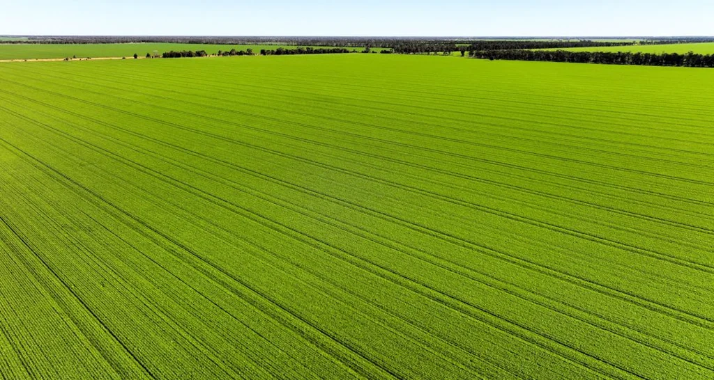  Dundenoon, Moree, NSW 2400