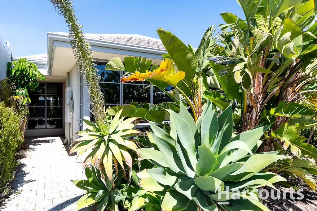 22 Counter Way, Alkimos, WA 6038