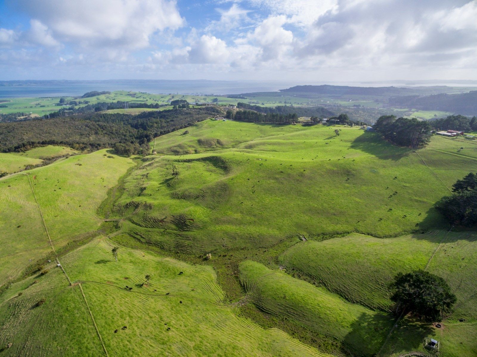 156 Tuhirangi Road, Makarau, Auckland - Rodney, 4 habitaciones, 2 baños