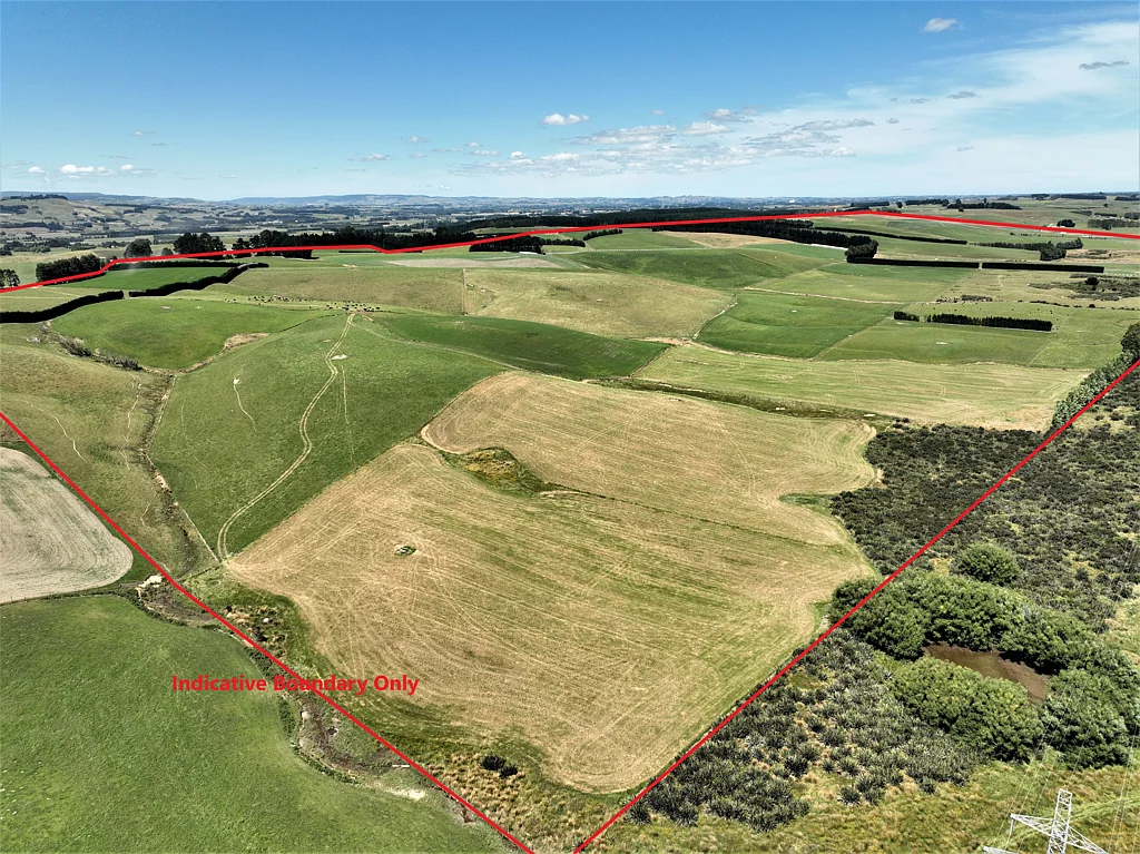 Gore Surrounds Dairy Grazing 180ha