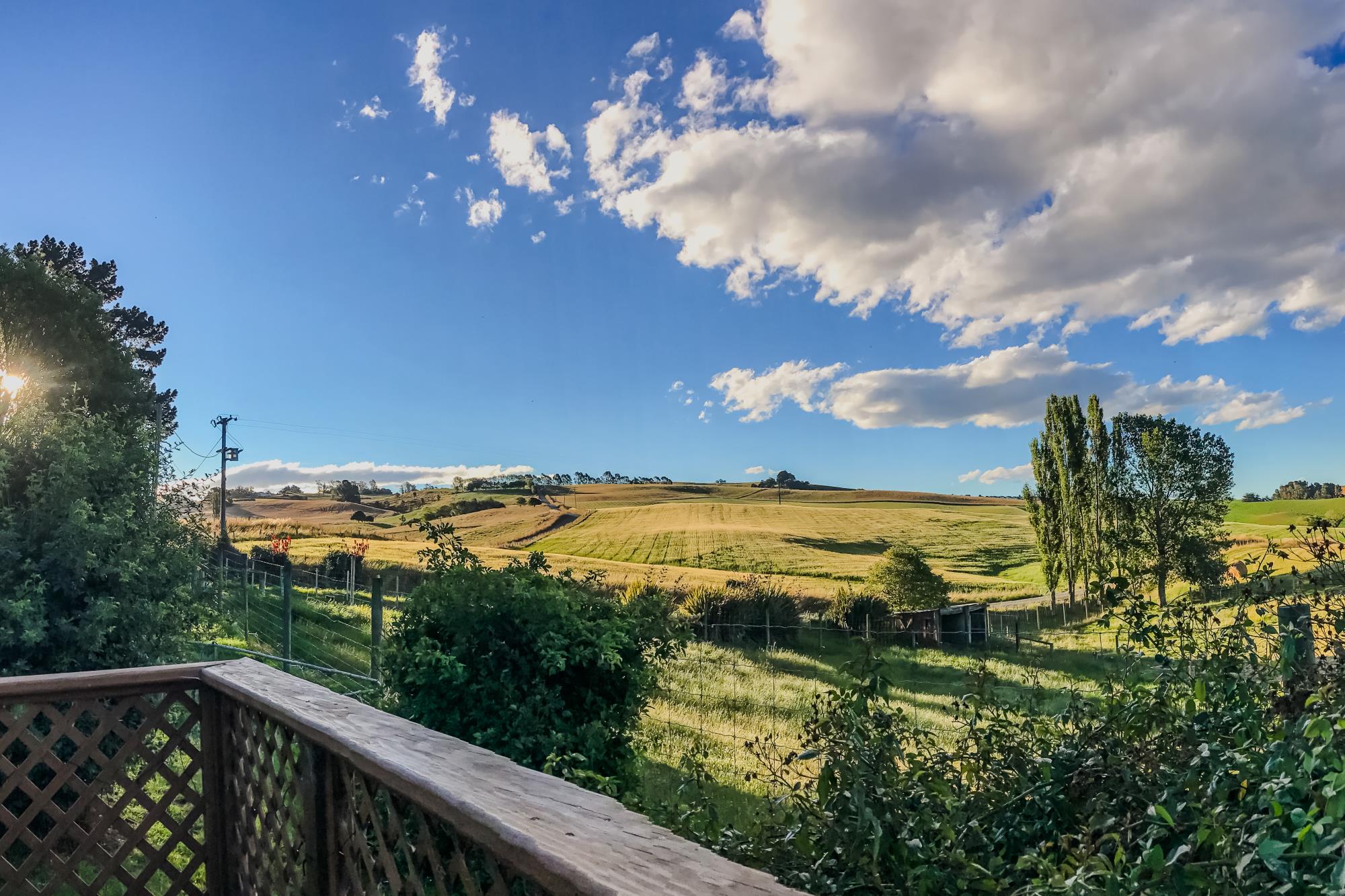 319 Woodburn Road, Herbert, Waitaki, 3 Kuwarto, 0 Banyo, Lifestyle Property