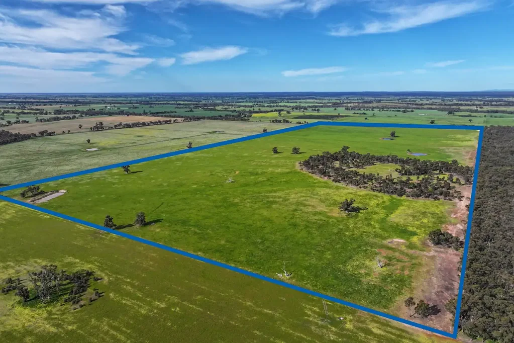 Cornella 312 ACRES GRAZING/CROPPING IN HIGH RAINFALL ZONE