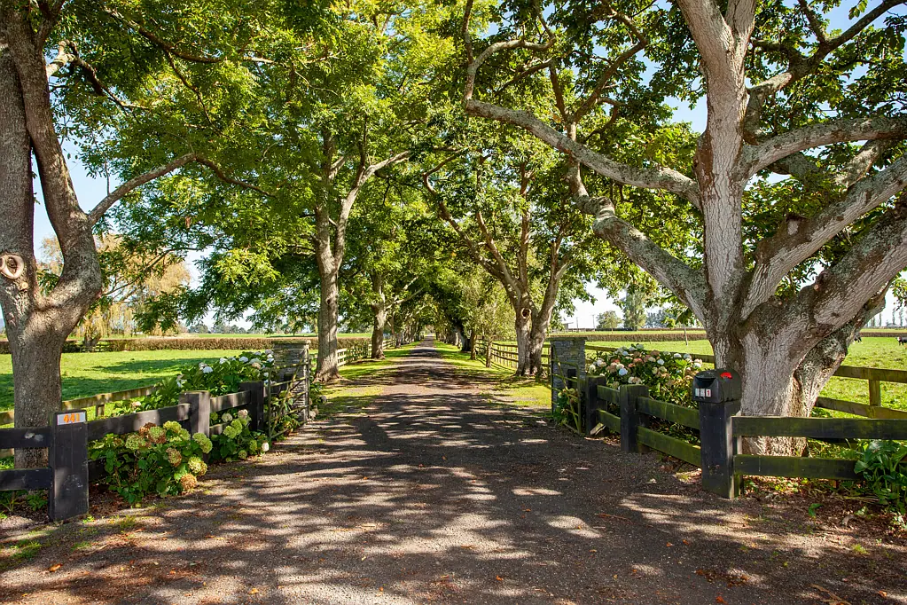 Matamata Premium lifestyle lots with an address to impress