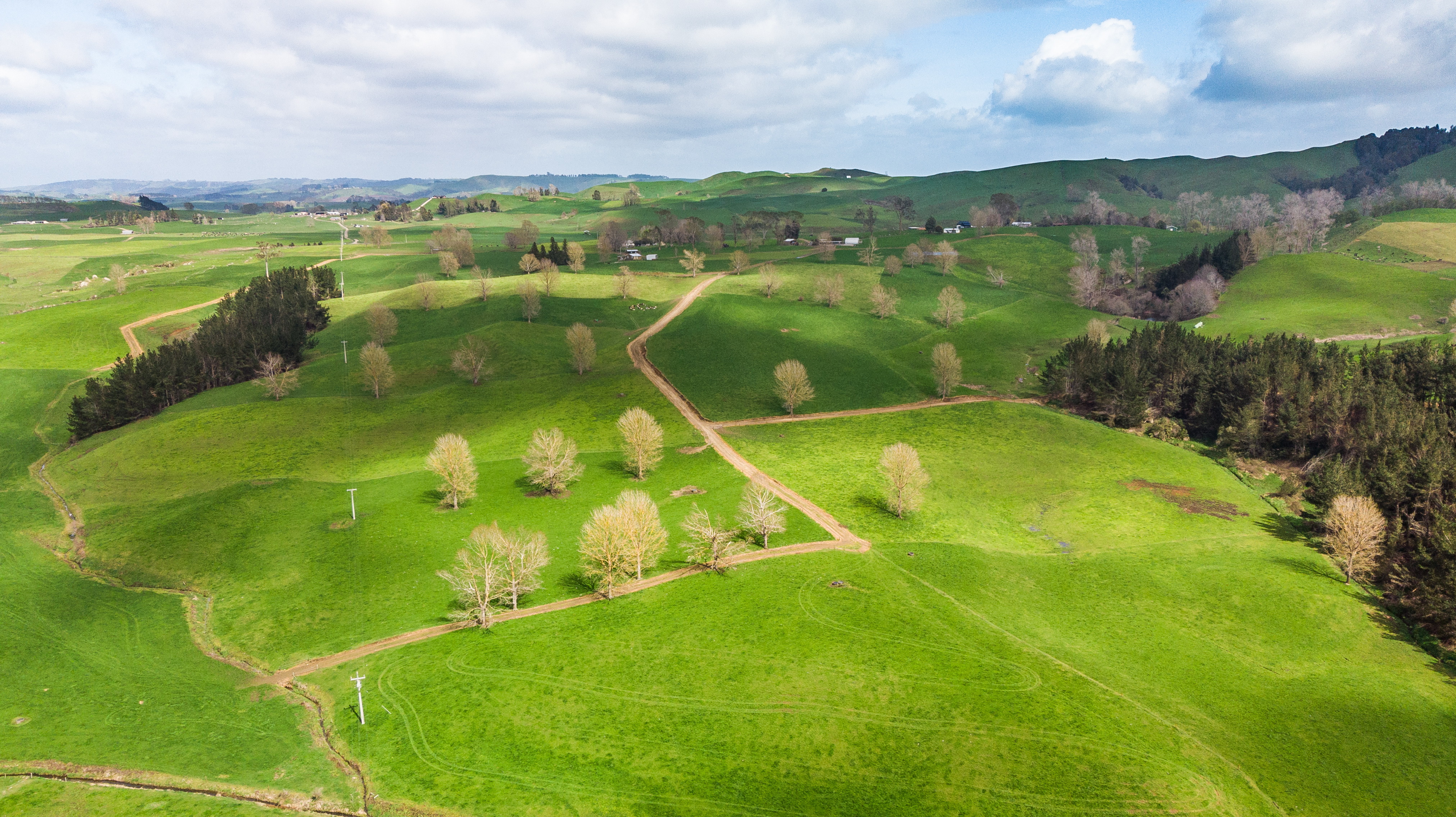 120 Pamotumotu Road, Maihiihi, Otorohanga, 0 ਕਮਰੇ, 0 ਬਾਥਰੂਮ, Dairy