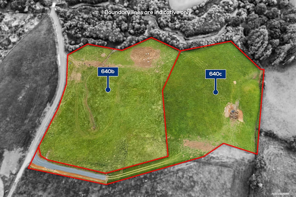 Puni 1.46 HA LIFESTYLE SECTION - NO COVENANTS!